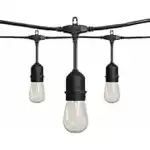 Garden String Lights